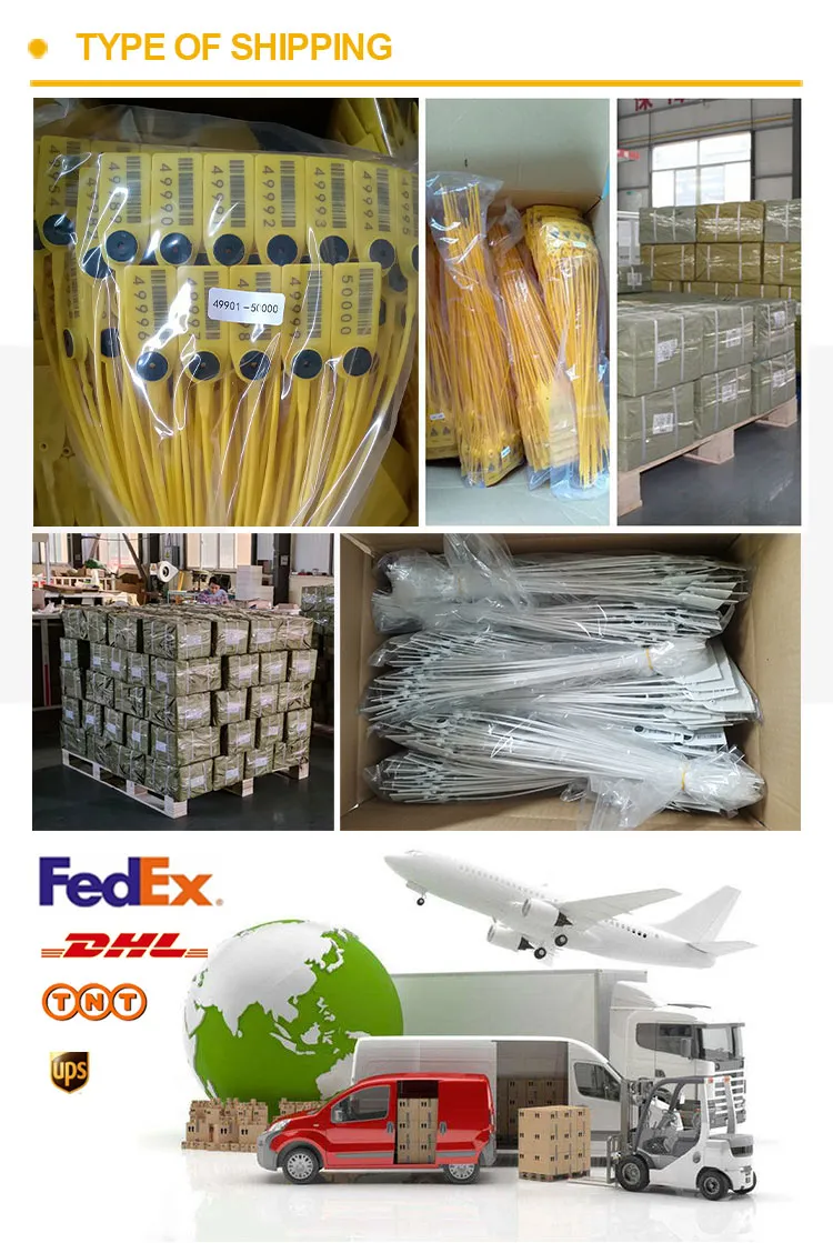 الشحن والنقل Shipping&Transportation