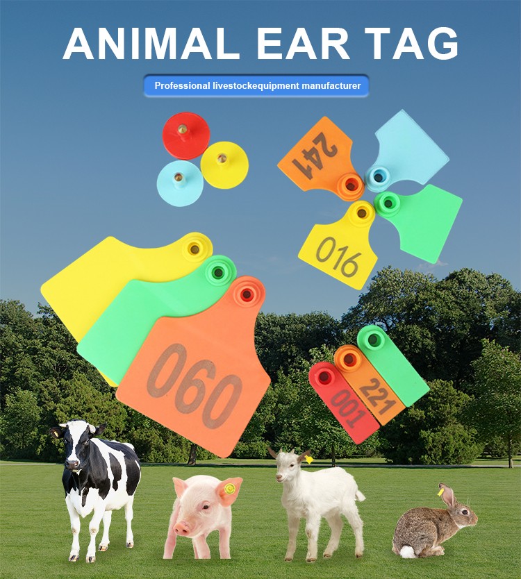 1716175412681455.jpg 物耳标_01.jpg