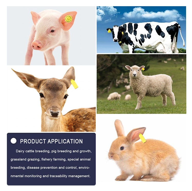 1716175765722579.jpg 物耳标_08.jpg