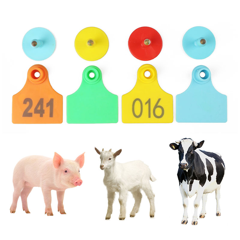 علامات الأذن الحيوانية علامات الأذن الحيوانية