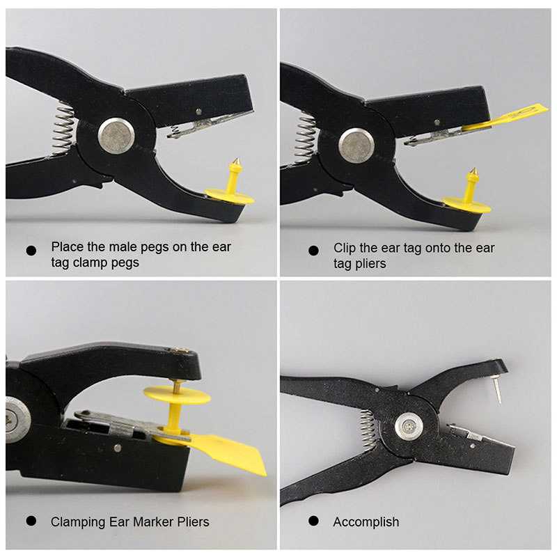 تطبيقات علامات الأذن الحيوانية تطبيقات علامات الأذن الحيوانية